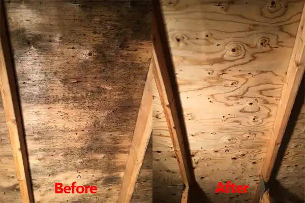 water damage restoration service Standing Pine